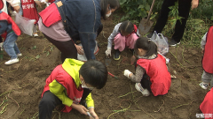 燕郊镇：乡村振兴旅游热 公益助农百姓乐