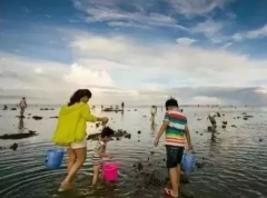 天津赶海拾贝捉蟹+自费外滩游轮一日游！